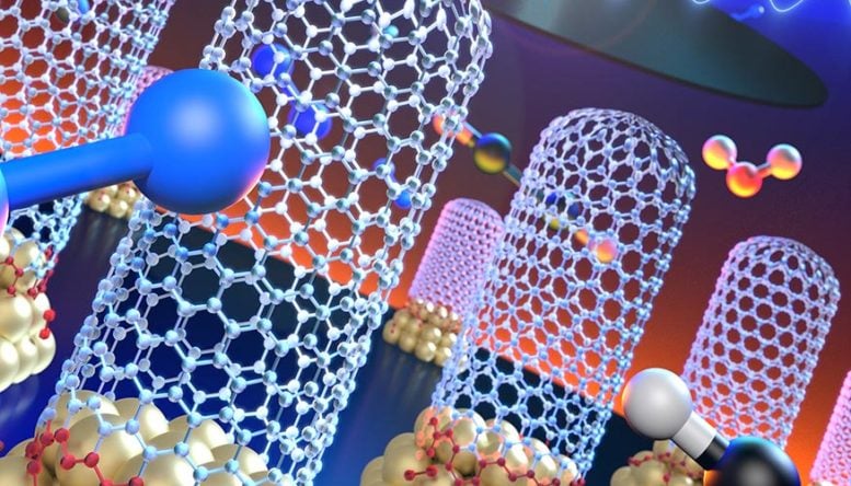 Carbon Nanotubes Growing From Catalytic Nanoparticles