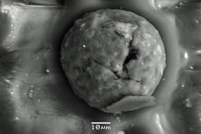 Carbon Spherule From Sheriden Cave