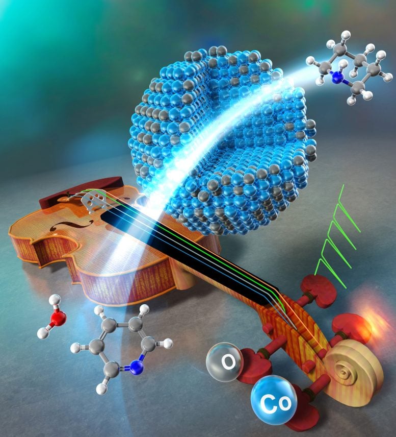 Carbon Supported Cobalt Catalyst