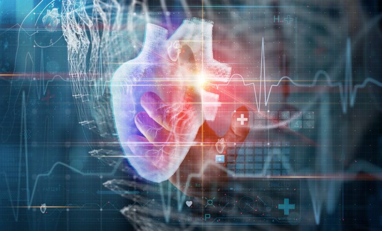 Cardilogy Heart Technology Concept