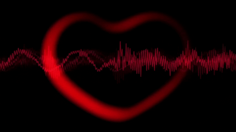 Cardiology Heart Beat Concept