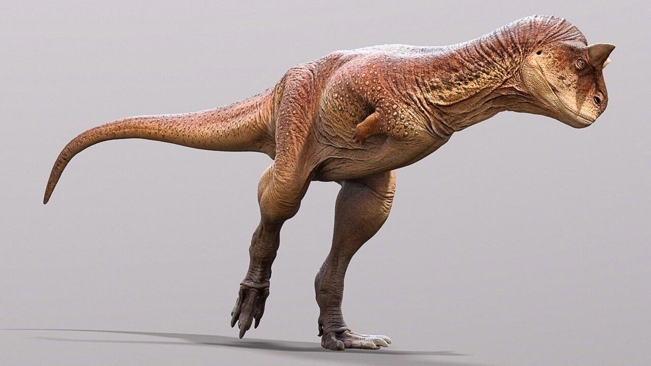 Can anyone identify what dinosaur this is supposed to be, it looks like an  Allosaurus but with Rex fingers : r/Dinosaurs