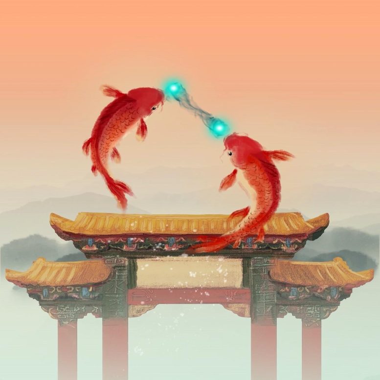 Carp Jumping Over the Dragon Gate Fermions