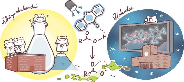 Cartoon Illustration of Shizuoka–Hokkaido Photocatalysis Collaboration