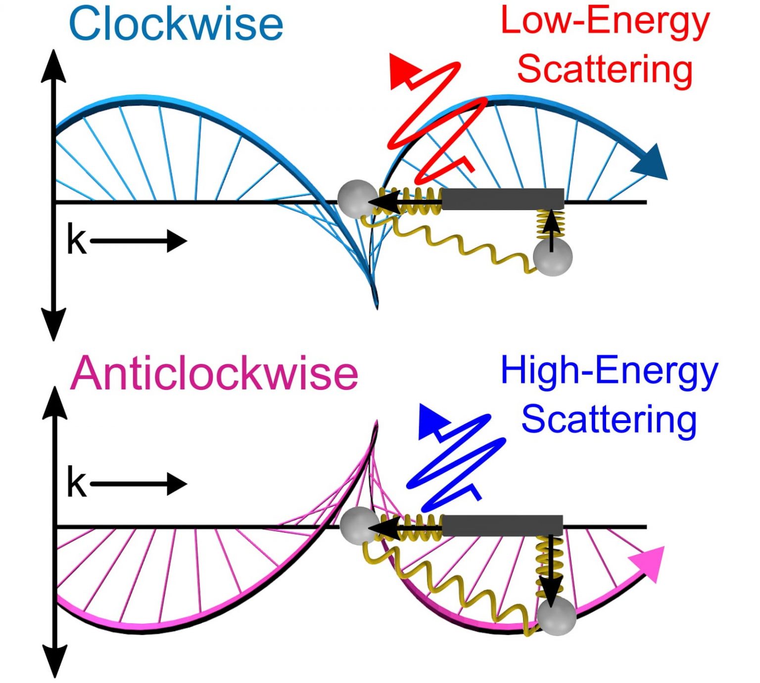 Polarized LightMatter Interaction New Optical Phenomenon Revealed by