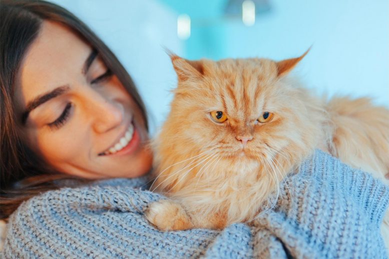 New Research Analyzes The Types Of Relationships Between Cats And Their 