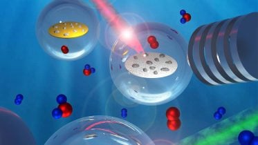 Tiny Particles, Big Surprises: The Unexpected Complexity of Catalysts