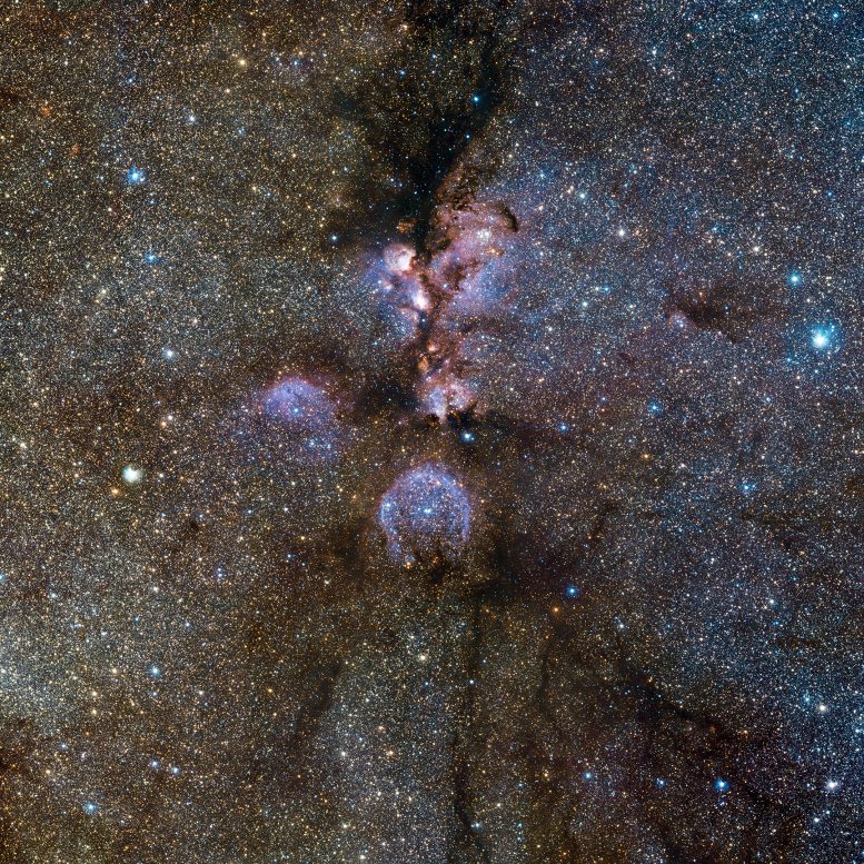 Cat’s Paw Nebula VISTA Infrared View