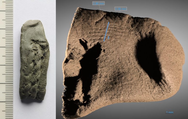 Caulking Fragment and X Ray Fingerprint Scan