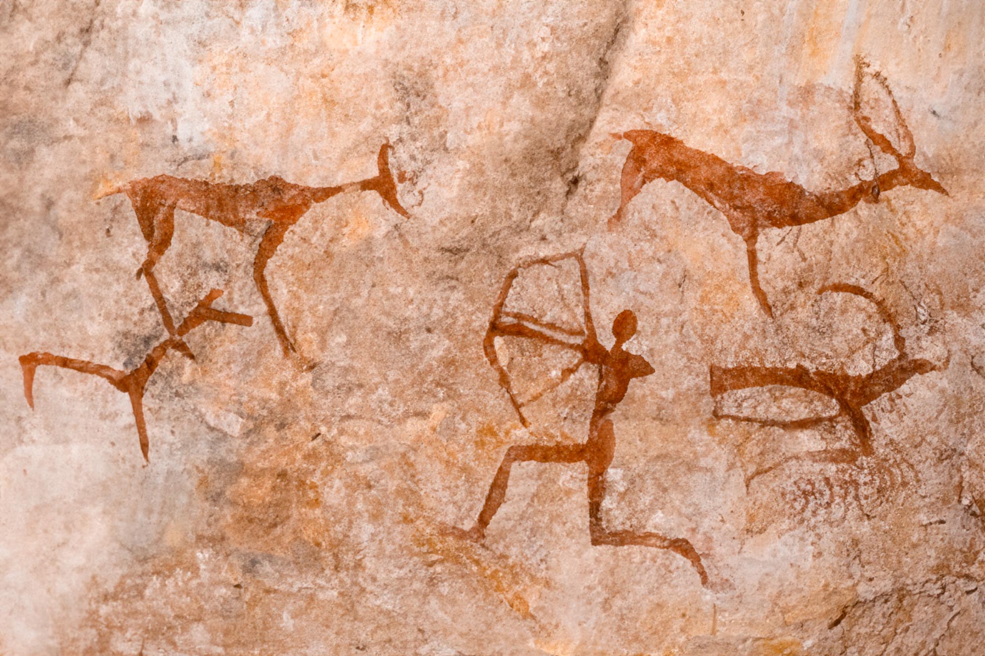Paleolithic Cave Paintings Hunting Kid Friendly Paleolithic Cave Art Paleolithic Cave Paintings Hunting Kid Friendly Paleolithic Cave Art