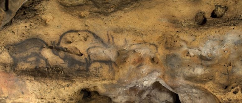 Scientists Finally Solve a 100-Year Mystery About France’s Famous Ice Age Cave Paintings