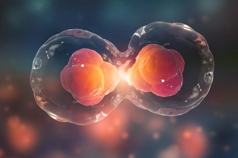 How Cells Copy DNA Might Matter More Than We Ever Realized