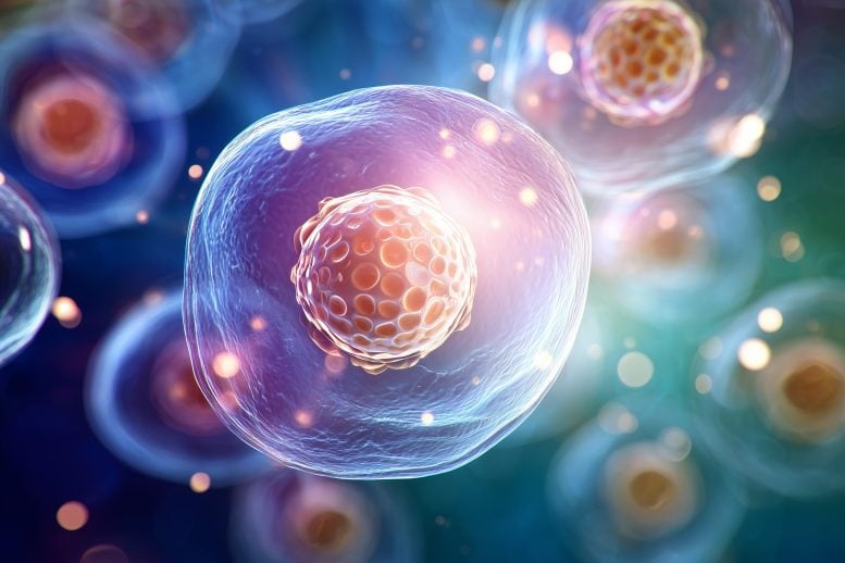Scientists Discover a Way to Recharge Aging Cells