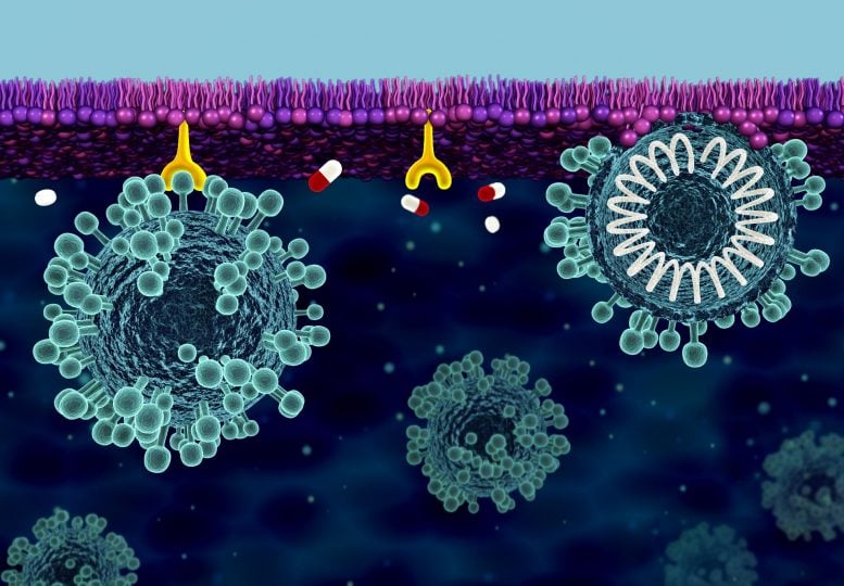 Cell Membrane Defense Against COVID-19