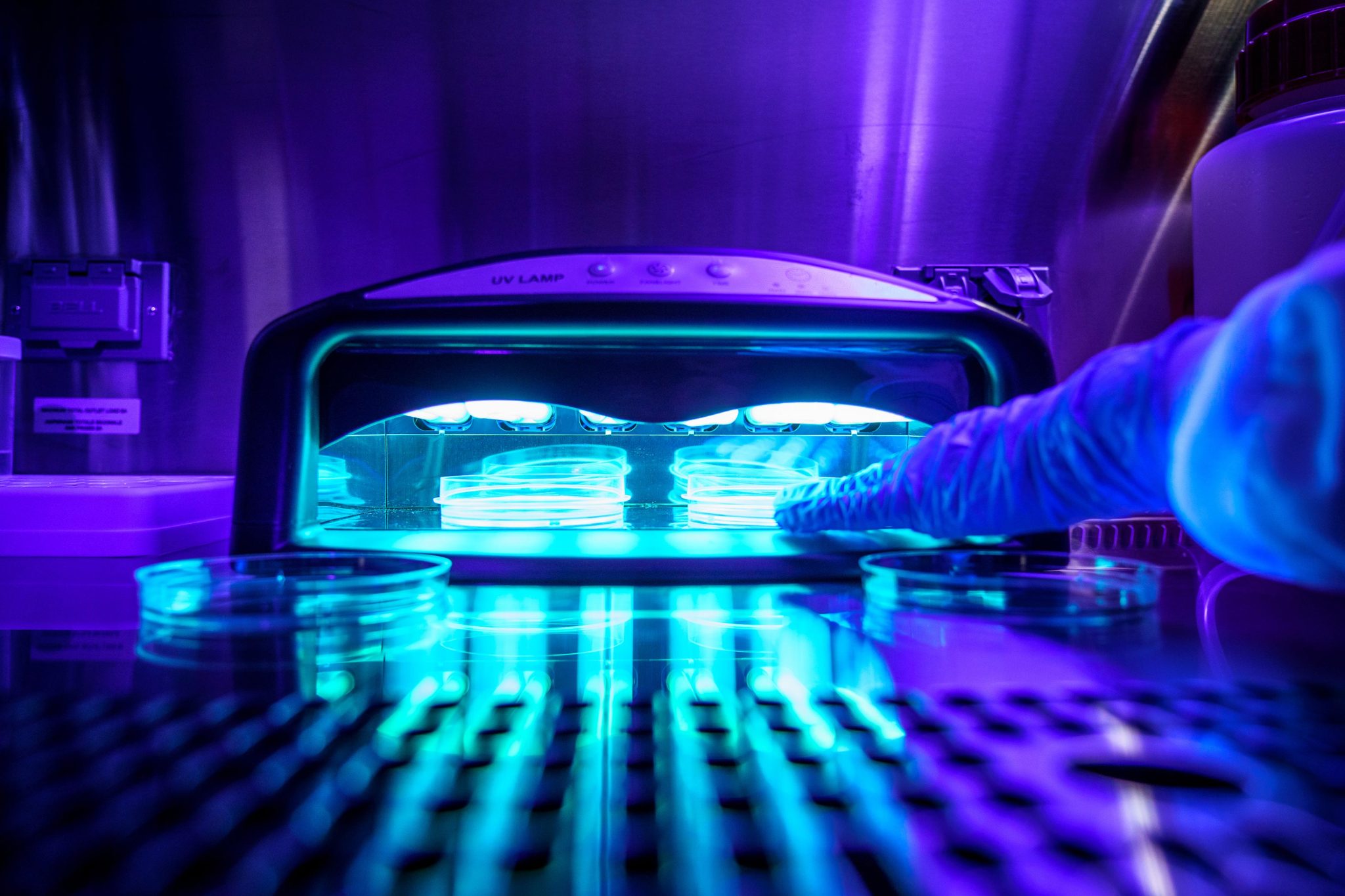 Células sendo expostas a um secador de esmalte UV