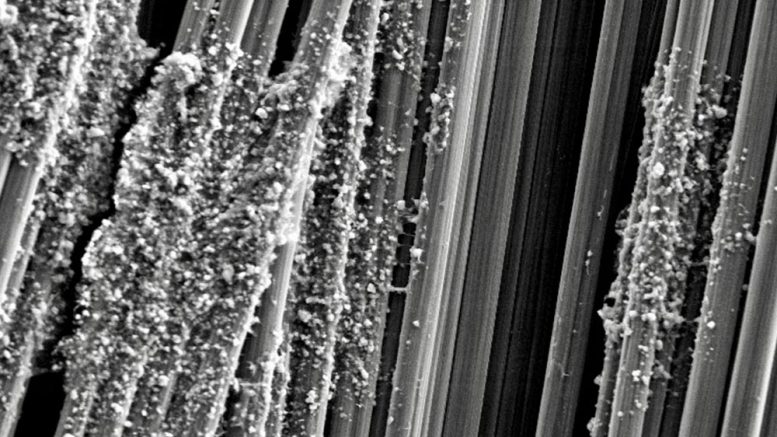 Cellular Nanocrystals Electron Micrograph