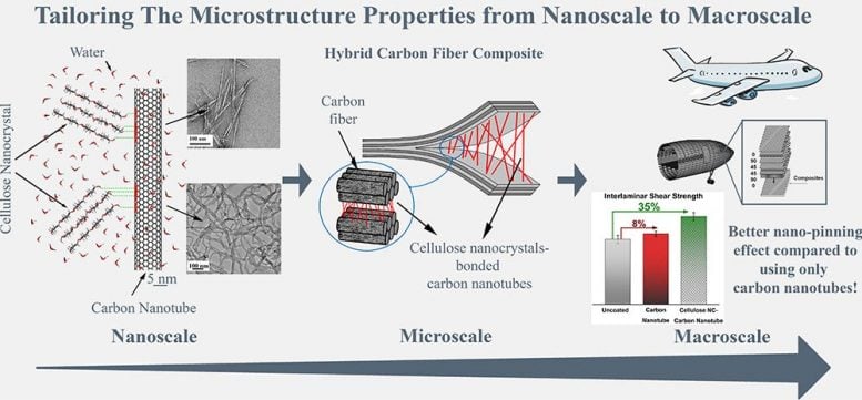 Cellular Nanocrystals Schematic