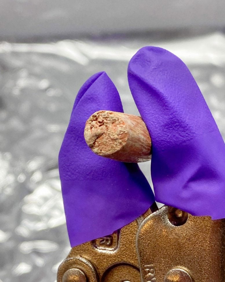 Ceramic Sample Shown After Incubation