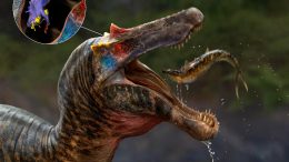Ceratosuchops Spinosaurid Artist's Impression