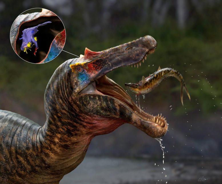 Ceratosuchops Spinosaurid Artist's Impression