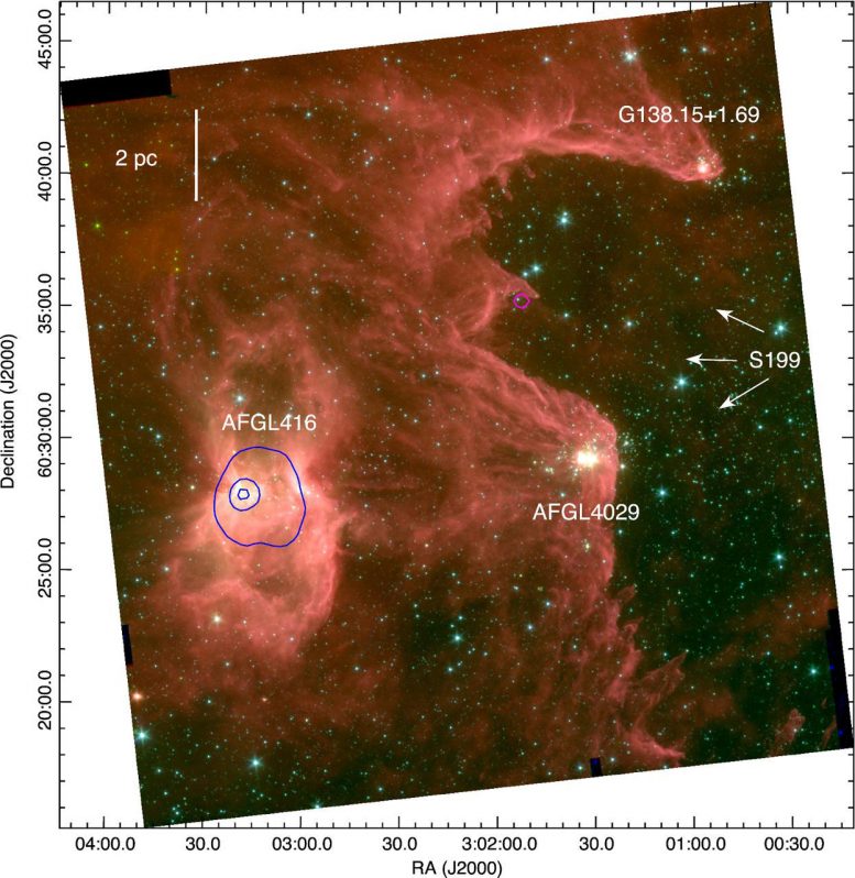 CfA Astronomers Study Clusters of Massive New Stars