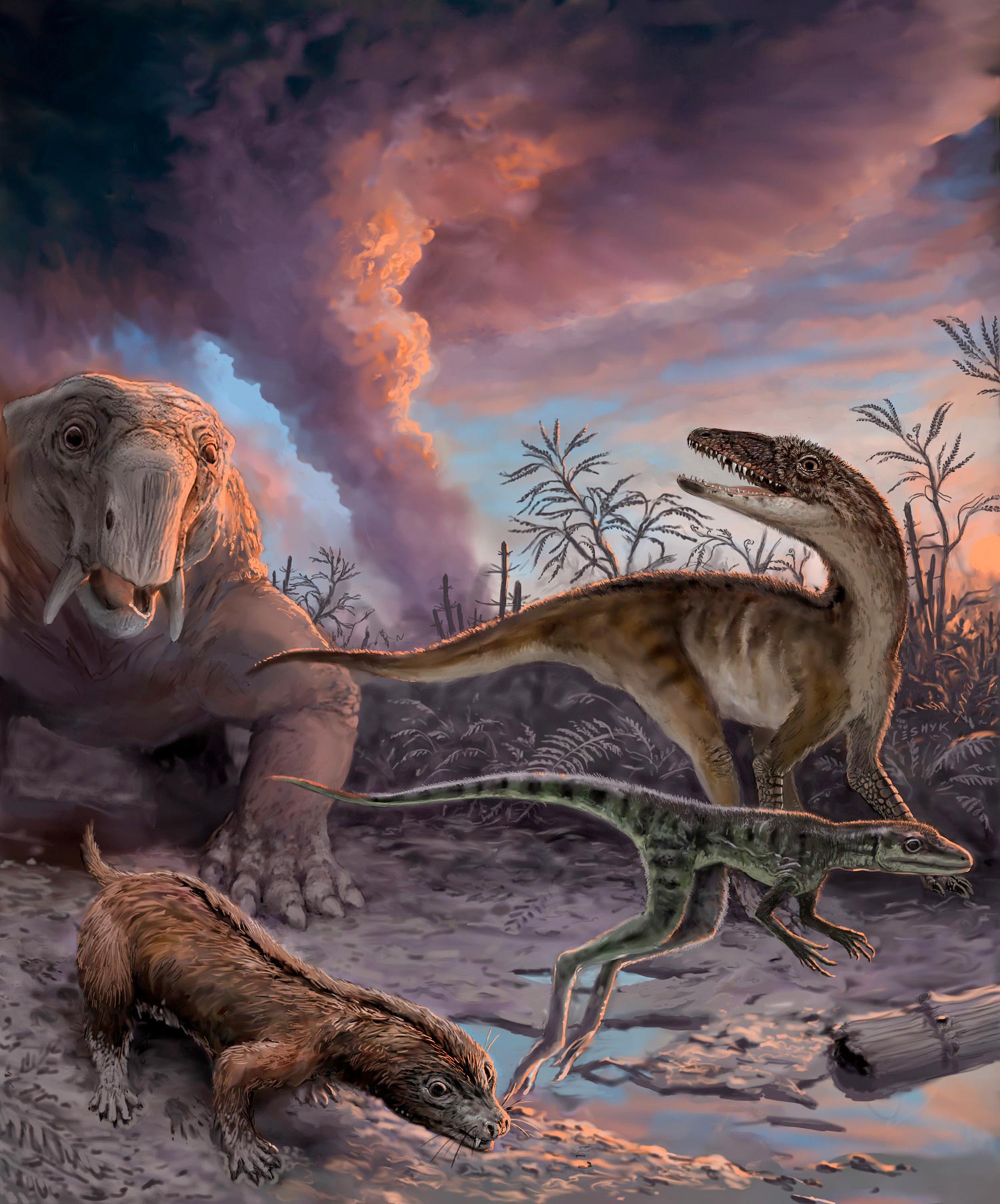 Scientists Discover New Species of Giant Dinosaur - Ledumahadi Mafube