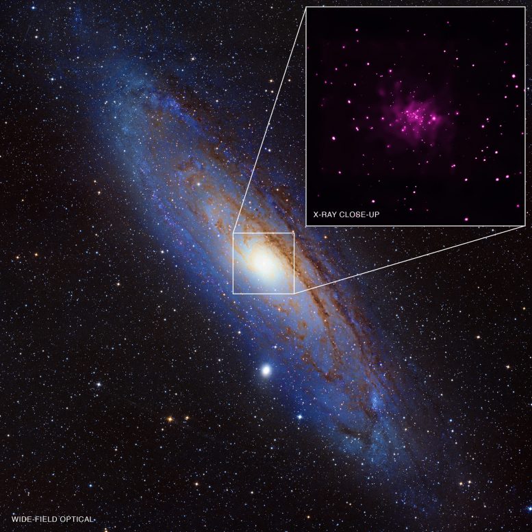 Chandra Data Reveals 26 New Black Hole Candidates in Andromeda