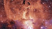 Chandra Image of NGC 3576
