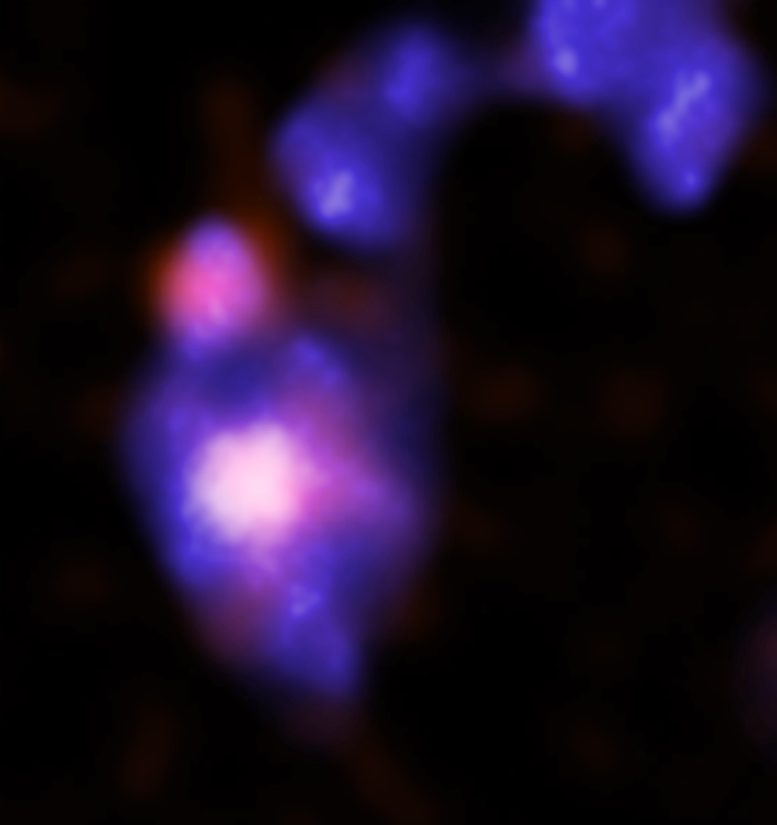 Chandra Mirabilis