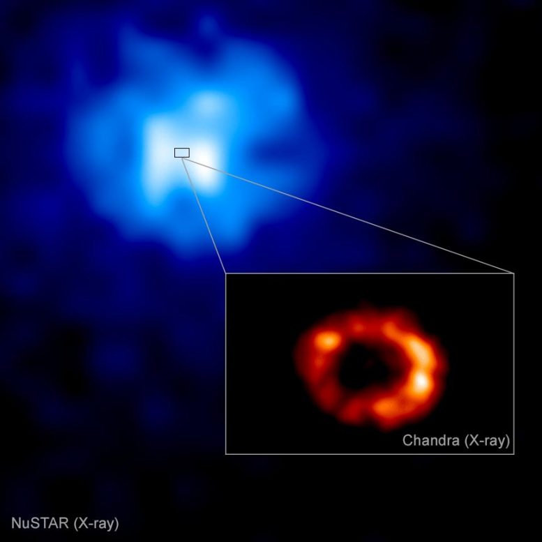 Chandra NuSTAR Supernova 1987A