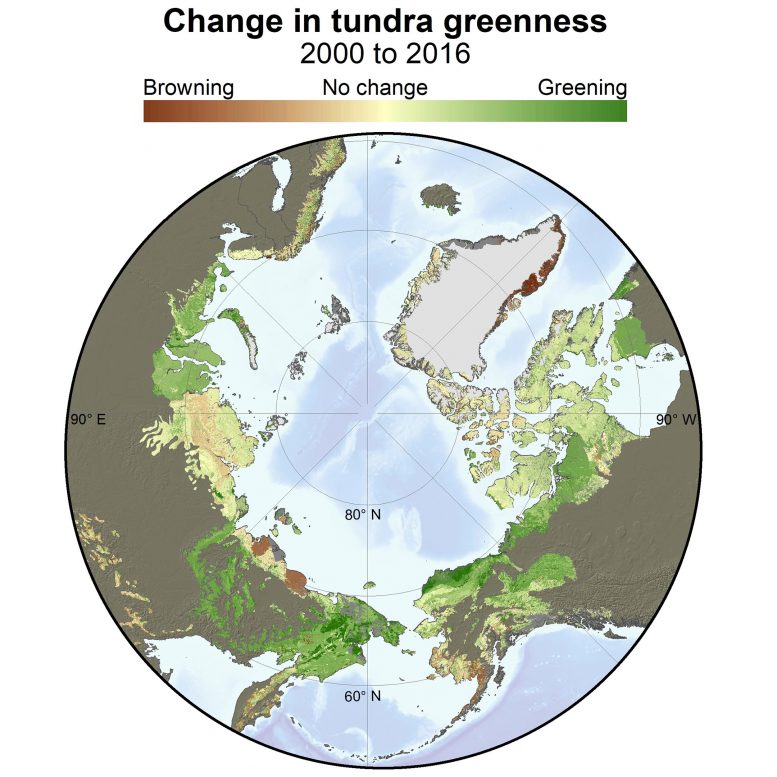 Change in Tundra Greenness