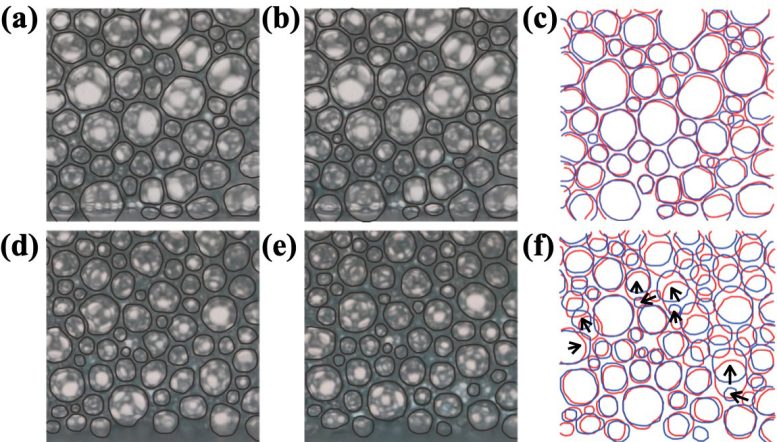 Changes in Foam Structure During Non Draining and Draining Graphic