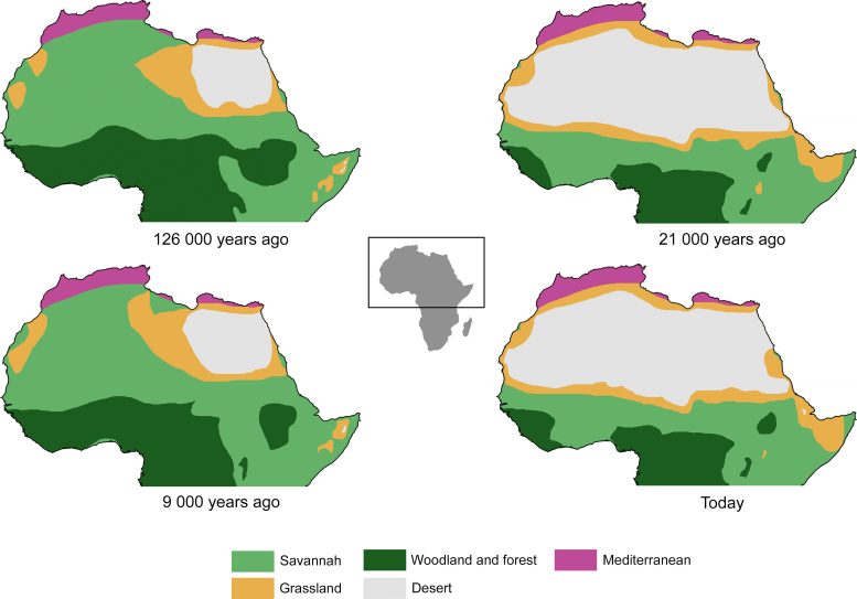 Mudanças na vegetação entre as fases úmida e árida no Norte da África