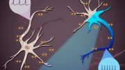 Changing Intrinsic Behavior of Neurons