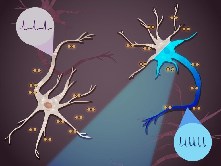 Changing Intrinsic Behavior of Neurons