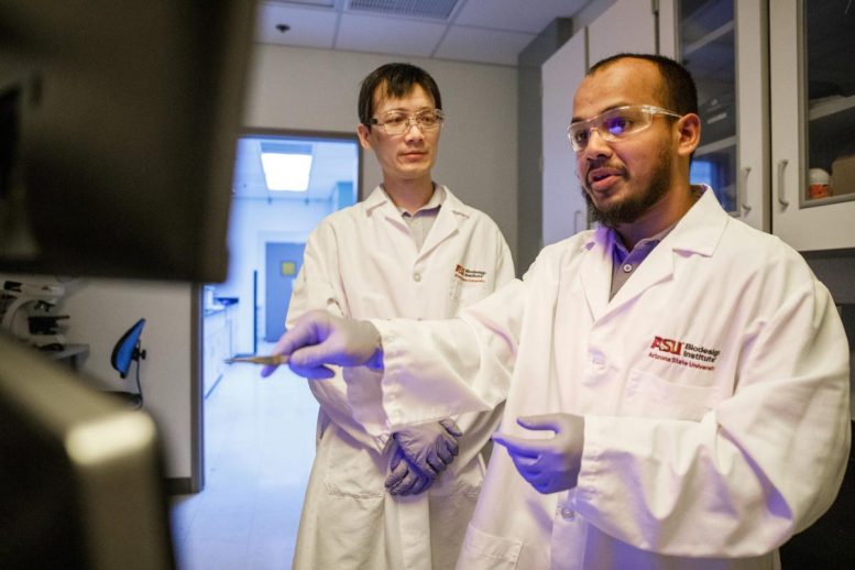 Chao Wang (Left) and Abdulla Al Mamun Working in a Lab