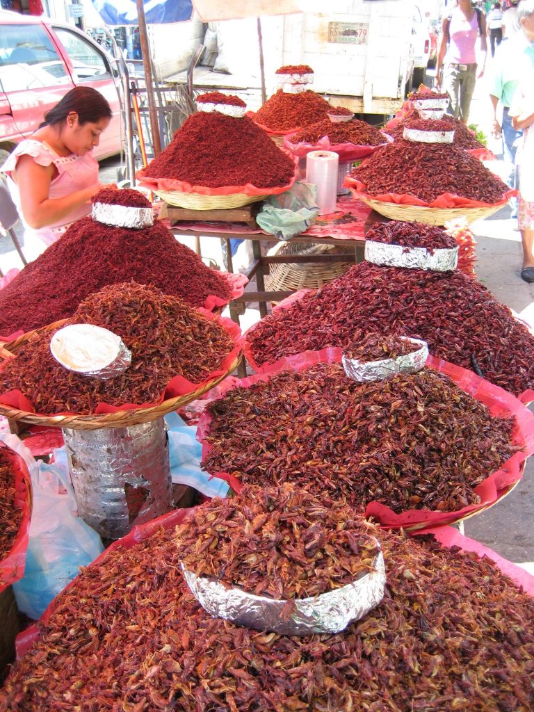 Chapulines Rural Mexican Market