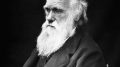 Charles Darwin Crop