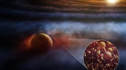 Chemical Evidence of Protoplanets