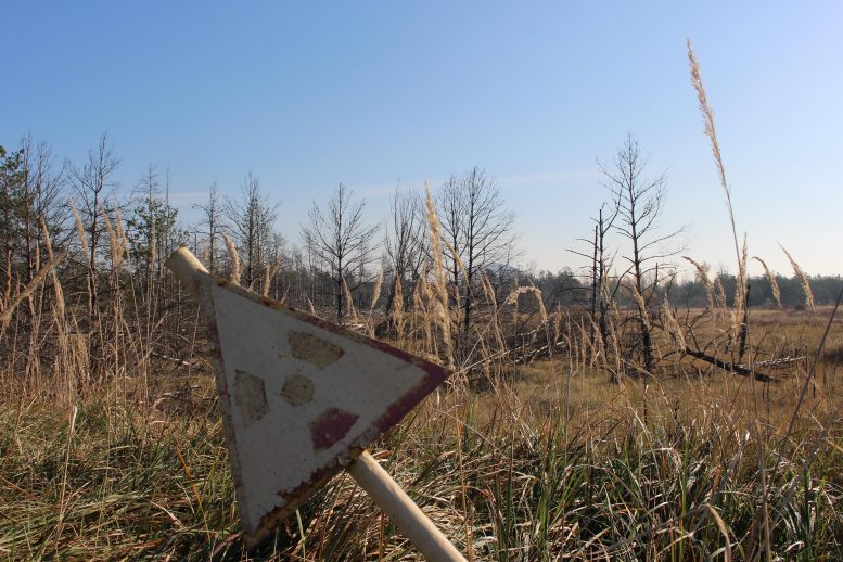 Chernobyl Exclusion Zone Contaminated Area
