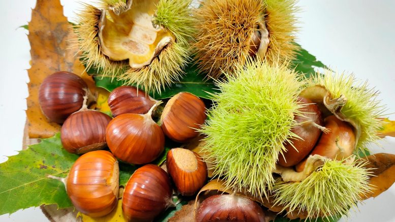 Science News & Research Discoveries - Page 6 of 218 - SciTechDaily