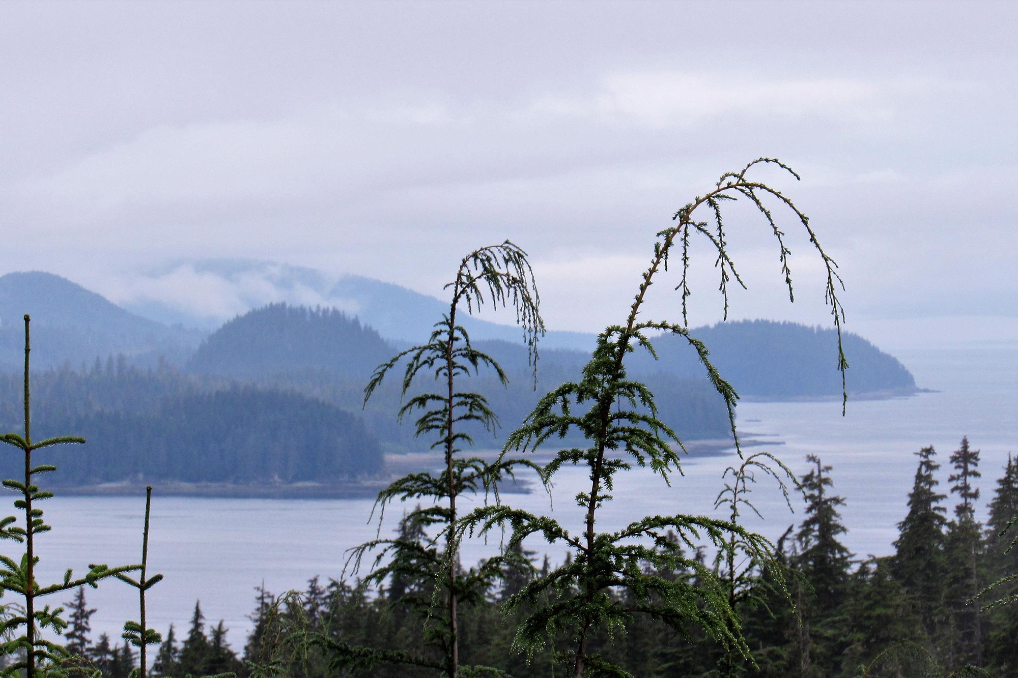 5 Largest Islands of the U.S. From Volcanoes to Rainforests