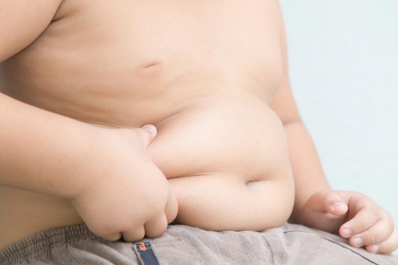Child Boy Kid Stomach Fat