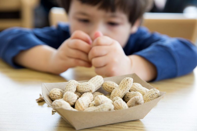 Criança comendo amendoim