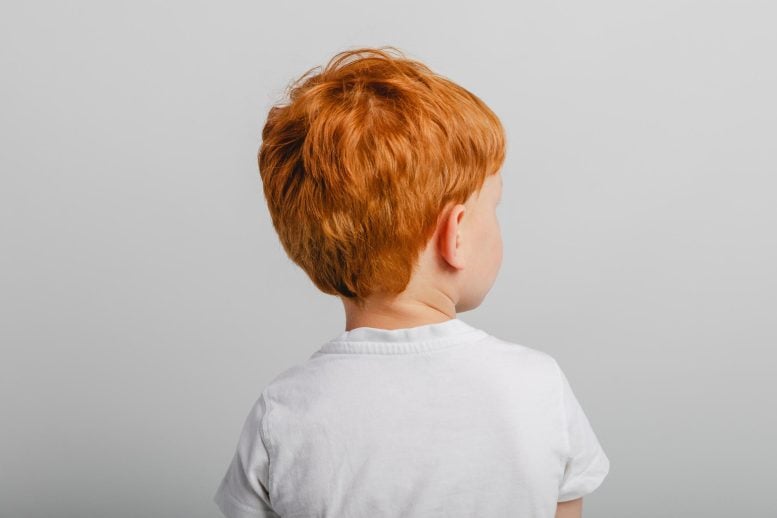 Child Redhead Boy