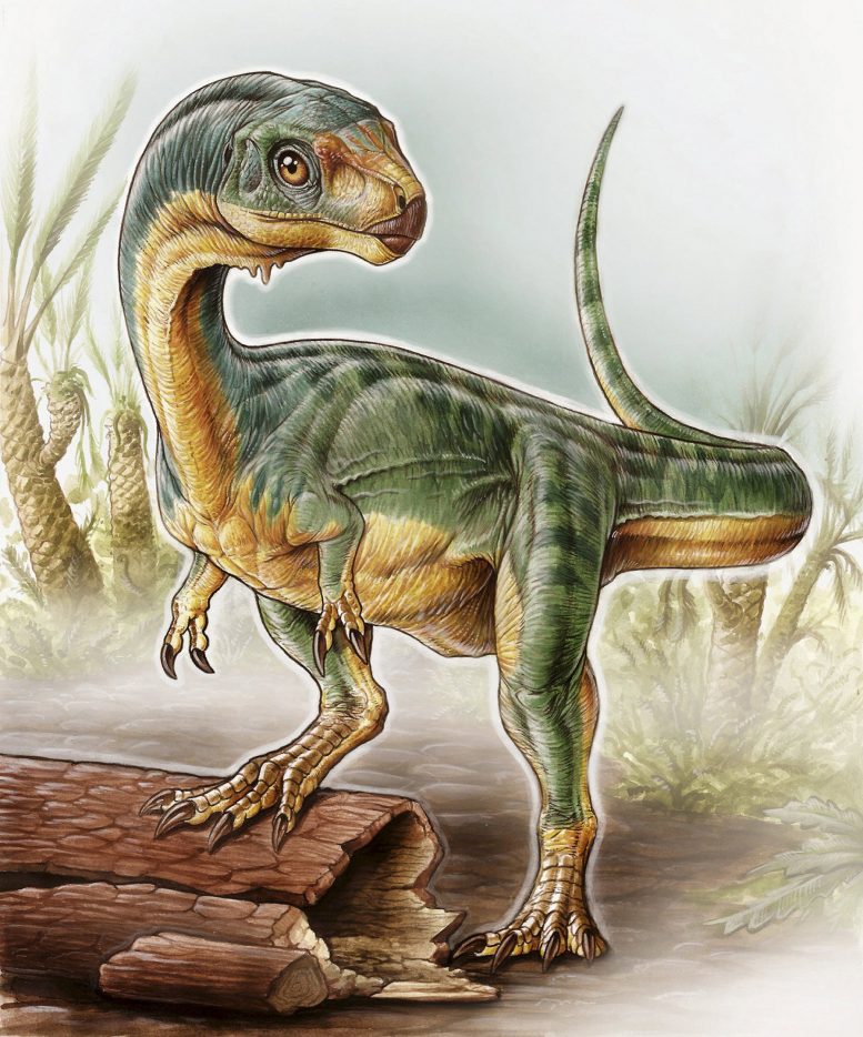 Chilesaurus Dinosaur