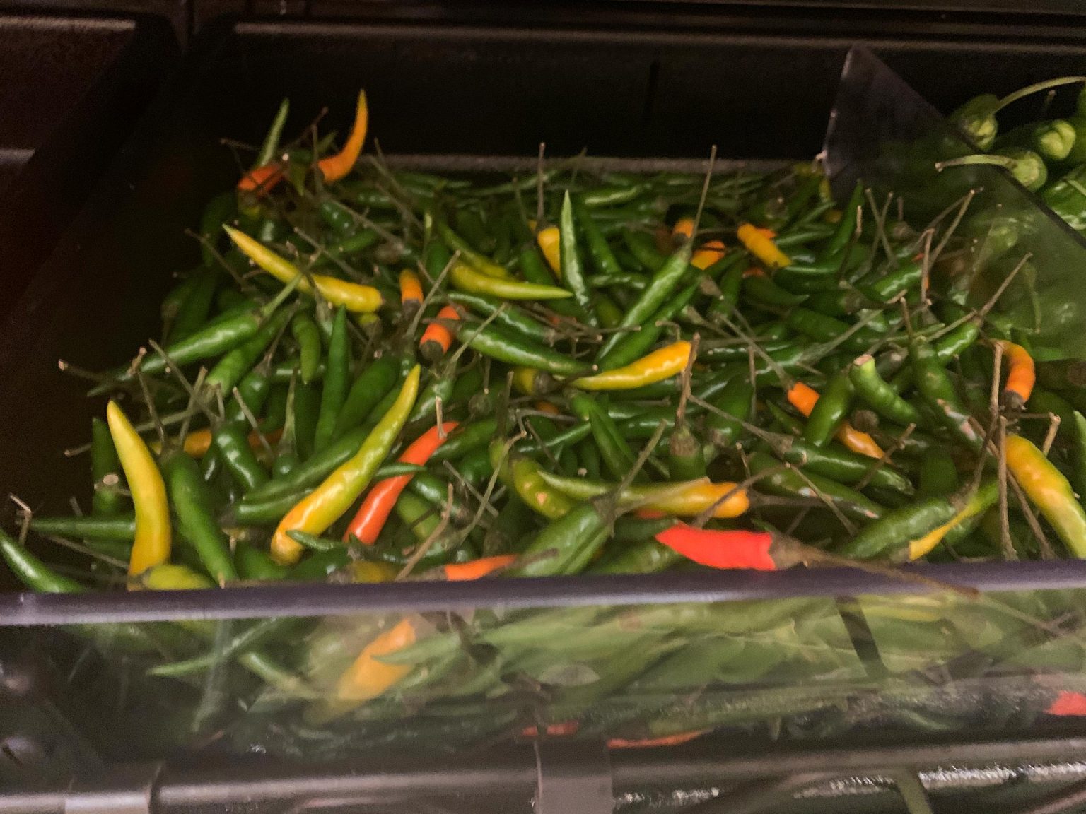 People Who Eat Chili Pepper May Live Longer Reduced Risk of Dying