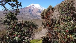 Chimborazo Ecuador Volcano