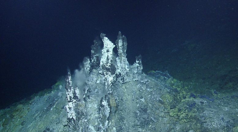 Deniz Uçurumu Hidrotermal Havalandırma Sahasından Baca Yapısı