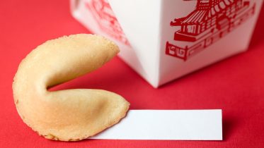 Chinese Food Takeout Fortune Cookie